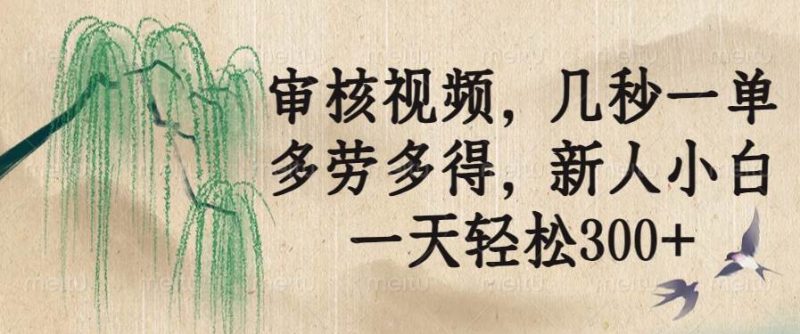 （14202期）审核视频，几秒一单，多劳多得，新人小白一天轻松300+-云创智库