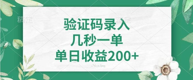 （14221期）验证码录入，几秒一单，单日收益200+-云创智库