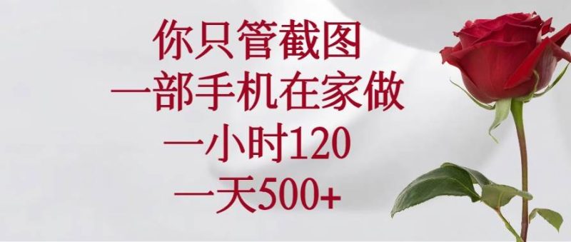（14248期）你只管截图，一部手机在家做，一小时120，一天500+-云创智库