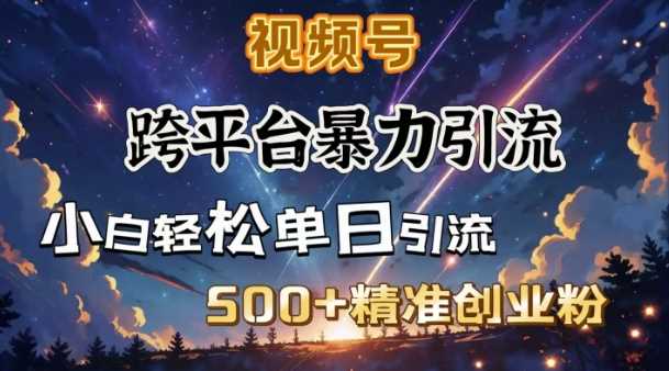 跨平台暴力引流，私域完美闭环，日引500+精准创业粉-云创智库