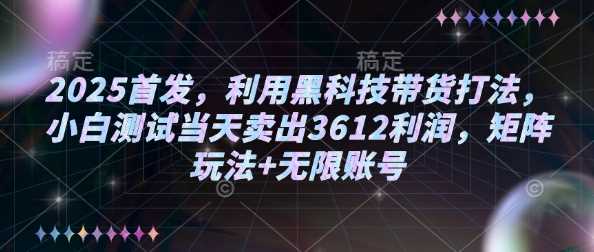 2025首发，利用黑科技带货打法，小白测试当天卖出3612利润，矩阵玩法+无限账号【揭秘】-云创智库