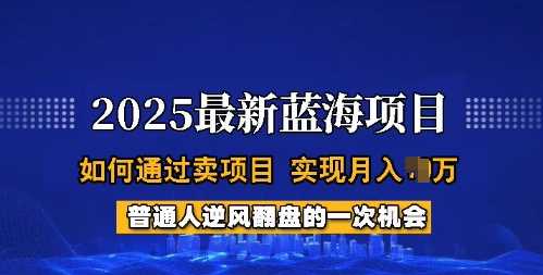 2025蓝海项目，普通人如何通过卖项目，实现月入过W，全过程【揭秘】-云创智库