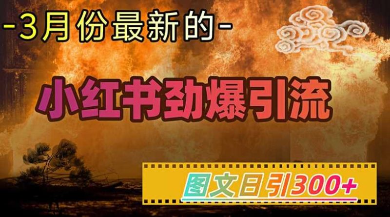 小红书超劲爆引流手段，图文日引300+轻松变现1W-云创智库