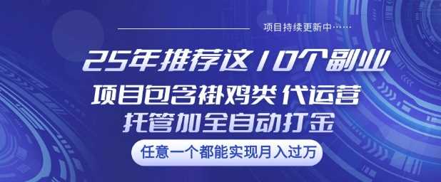 25年推荐这10个副业项目包含褂鸡类、代运营托管类、全自动打金类【揭秘】-云创智库