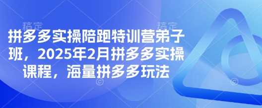 拼多多实操陪跑特训营弟子班，2025年2月拼多多实操课程，海量拼多多玩法-云创智库