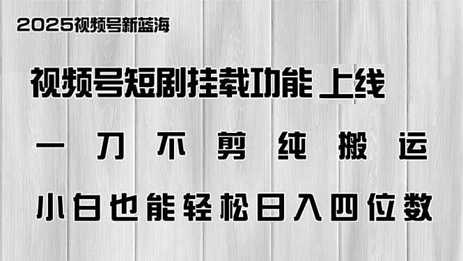 （14310期）视频号短剧挂载功能上线，一刀不剪纯搬运，小白也能轻松日入四位数-云创智库