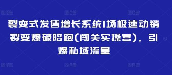裂变式发售增长系统1场极速动销裂变爆破陪跑(闯关实操营)，引爆私域流量-云创智库
