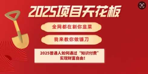 2025项目天花板普通人如何通过知识付费，实现财F自由【揭秘】-云创智库