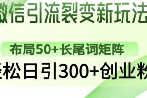 （14484期）小红书、抖音、视频号全域多平台引流获客，日引目标客户200+，RPA自动…-云创智库