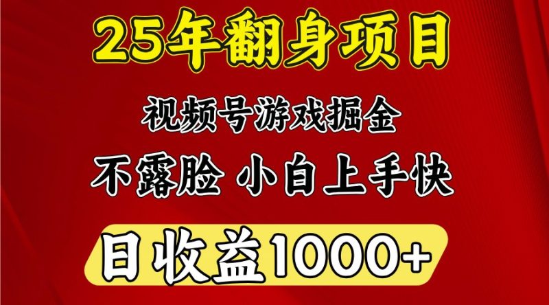 一天收益1000+ 25年开年落地好项目-云创智库