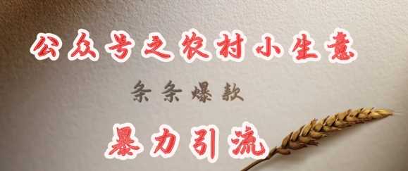 deepseek写农村小项目，条条爆款，暴力引流-云创智库