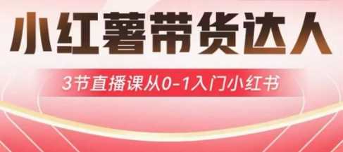 小红薯达人带货启航计划，3节直播课从0-1入门小红书-云创智库