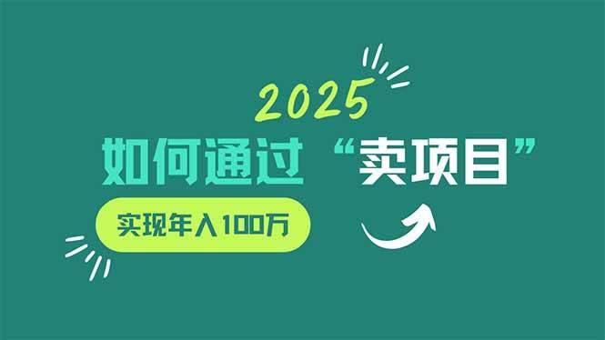 （14176期）2025年如何通过“卖项目”实现年入100万-云创智库