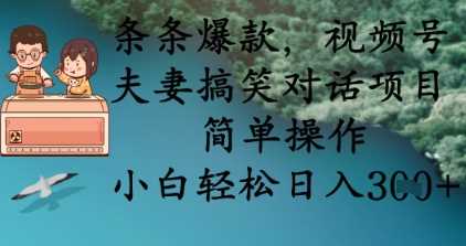 条条爆款，视频号夫妻搞笑对话项目，简单操作，小白轻松日入3张+-云创智库