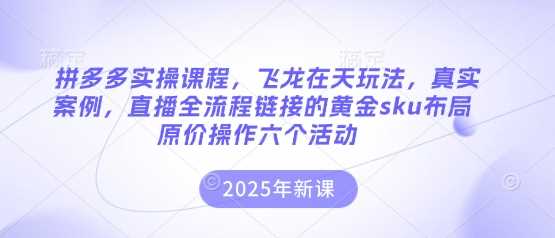 拼多多实操课程，飞龙在天玩法，真实案例，直播全流程链接的黄金sku布局原价操作六个活动-云创智库