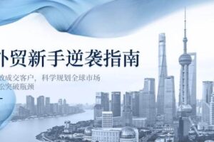 （14208期）东南亚TK3.0：新手入门/店铺装修/选品策略/流量获取/订单处理/联盟营销等-云创智库