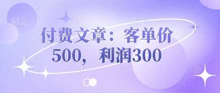 付费文章：客单价500，利润300-云创智库