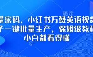 2025最新视频搬砖项目，热门风口，简单去重剪辑，小白也能轻松月入过W-云创智库