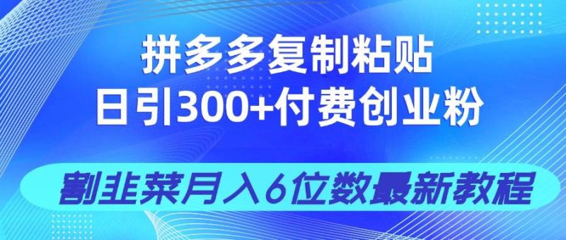 （14232期）拼多多复制粘贴日引300+付费创业粉，割韭菜月入6位数最新教程！-云创智库