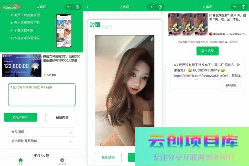 2025去水印小程序源码，已添加完整流量主广告，可直接运营-云创智库