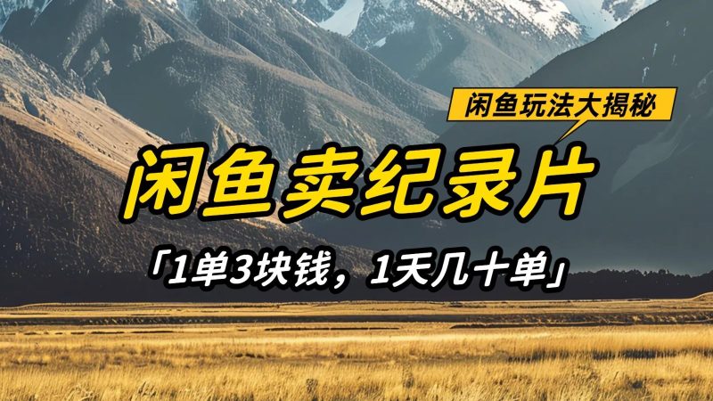 闲鱼卖纪录片，简单又赚钱的小项目，1单3块钱  1天几十单-云创智库