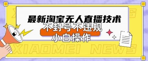 2025年淘宝无人直播带货10.0.全新技术，不违规，不封号，纯小白操作，日入数张【揭秘】-云创智库