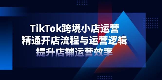 （14369期）TikTok跨境小店运营，精通开店流程与运营逻辑，提升店铺运营效率-云创智库