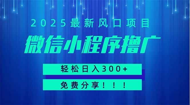 （14375期）微信小程序撸广，最新风口项目，日入300+ 免费分享 可批量操作 小白可…-云创智库