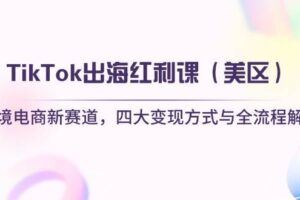 （14390期）东南亚跨境TikTok小店运营课，掌握店铺设置与流量转化核心技巧-云创智库