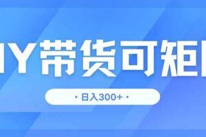 （14416期）全自动电商拍手，单窗口两小时50+无需人工，小白也能日入1000+-云创智库