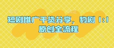短剧推广干货分享，豹剧 1:1原创全流程-云创智库