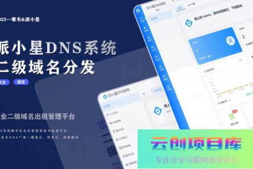 2025派小星DNS二级域名分发源码-云创智库