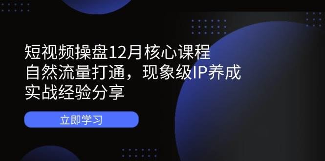 短视频操盘12月核心课程：自然流量打通，现象级IP养成，实战经验分享-云创智库