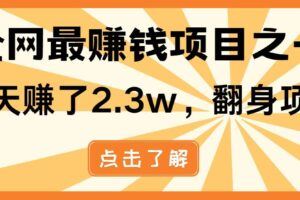 25年最新CSGO游戏挂机，1分钟1件货，1件货赚10元，纯手机操作，无需游戏经验-云创智库