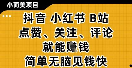 小而美的项目，抖音小红书B站视频点赞、关注、评论就能挣钱，简单无脑立见收益，妥妥的零撸项目【揭秘】-云创智库