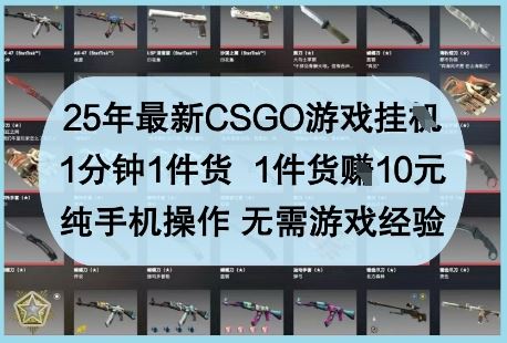 25年最新CSGO游戏挂G，1分钟1件货，1件货挣10元，纯手机操作，无需游戏经验【揭秘】-云创智库