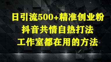 日引流500+精准创业粉，抖音共情自热打法，工作室都在用的方法-云创智库