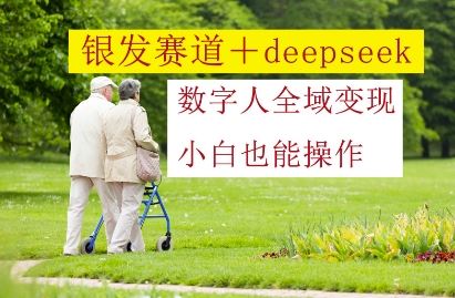 银发赛道+deepseek数字人全域变现，小白也能操作-云创智库