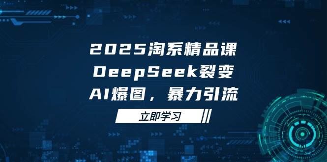 （14639期）2025 淘系精品课，DeepSeek 裂变，AI 爆图，暴力引流-云创智库