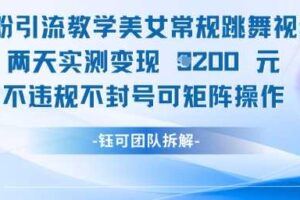 3分钟1条，用AI生成战损风女侠视频，单日收益1k+-云创智库