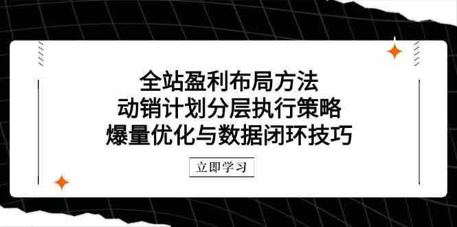 全站盈利布局方法：动销计划分层执行策略，爆量优化与数据闭环技巧-云创智库