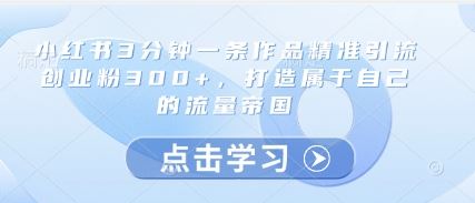小红书3分钟一条作品精准引流创业粉300+，打造属于自己的流量帝国-云创智库