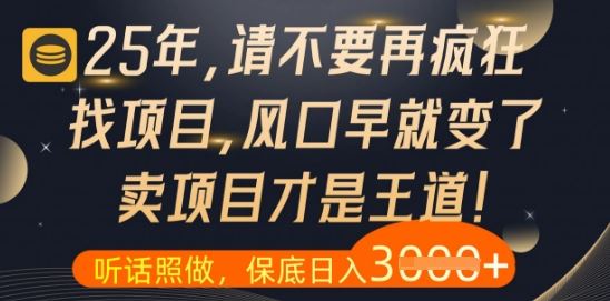 什么？25年你还在疯狂找项目做，醒醒吧，看完这些你全都懂了【揭秘】-云创智库