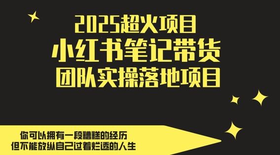 2025超火项目，副业最佳选择，小红书笔记带货团队实操落地项目，，轻松日入5张-云创智库