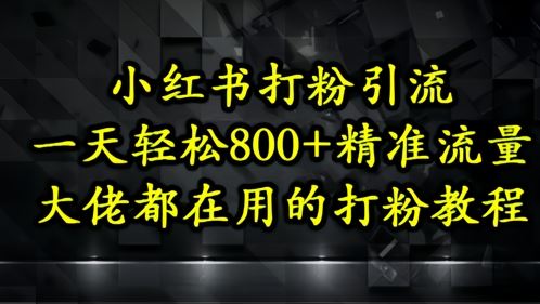 小红书打粉引流，一天轻松500+精准流量，大佬都在用的打粉教程-云创智库