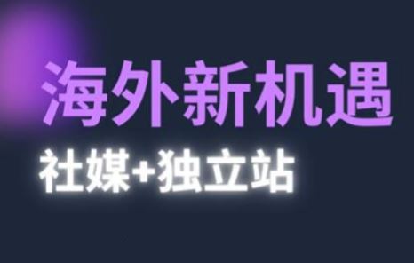 2025出海新机遇(社媒+独立站)，海外新机遇，实现独立站的高效运营与出海-云创智库