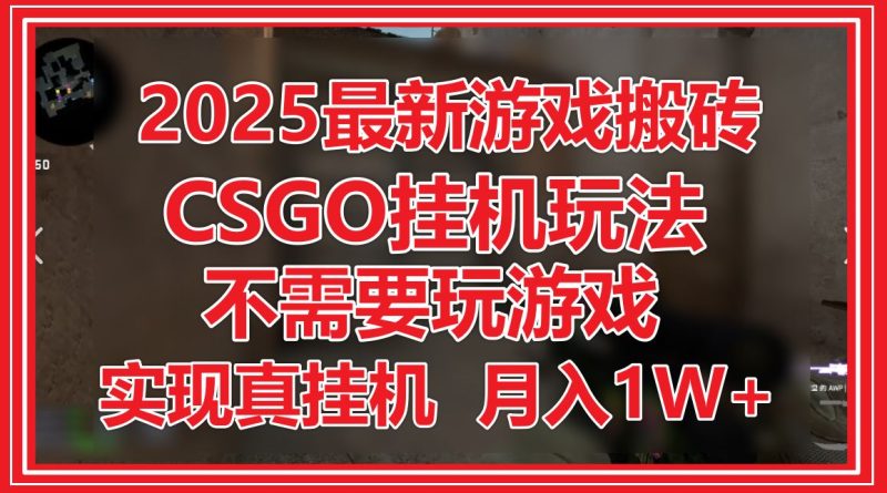 2025最新游戏搬砖，CSGO挂机，不需要玩游戏，实现真挂机，月入1W+-云创智库