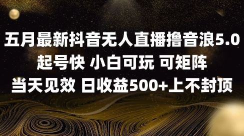 2025五月最新无人直播撸音浪单日产出5张+实操教程【揭秘】-云创智库