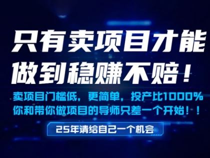 只有卖项目才能做到稳挣不赔，门槛低，更简单，你也可以年入百个W【揭秘】-云创智库