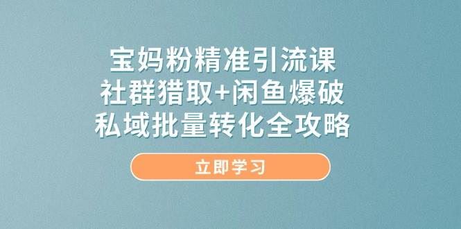 宝妈粉精准引流课，社群猎取+闲鱼爆破，私域批量转化全攻略-云创智库
